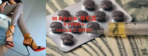 твердый Новодвинск