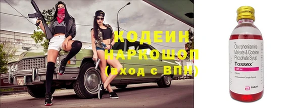 шишки Весьегонск