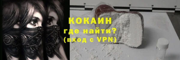 твердый Новодвинск