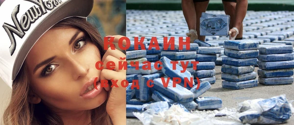 твердый Новодвинск