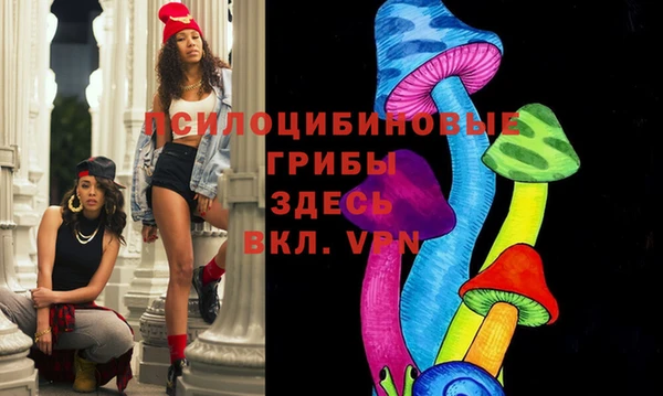 твердый Новодвинск