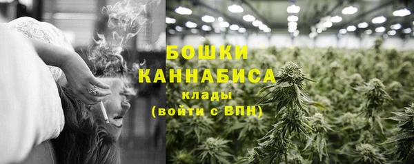 твердый Новодвинск