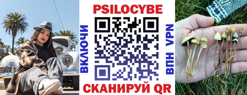 Псилоцибиновые грибы Cubensis  блэк спрут онион  Кировск 