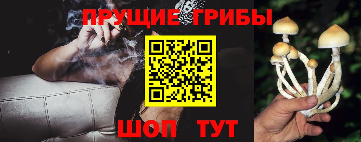Псилоцибиновые грибы GOLDEN TEACHER  Галлюциногенные грибы ЛСД  Кировск  Вход с VPN 